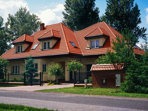 Braas  ДАБЛ S 